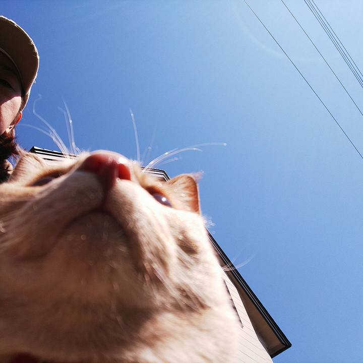 62254a73 d53a 431c 91e2 9dc891319707 1556412168231