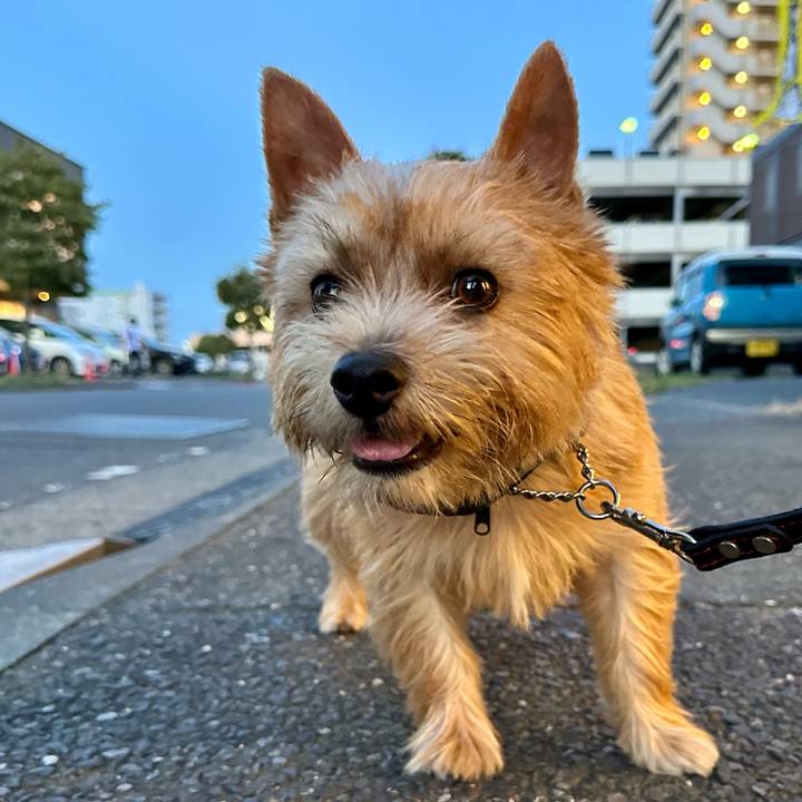 62256a9f 0d1f 4fb0 b38a 734de61ad35d 1756239034461