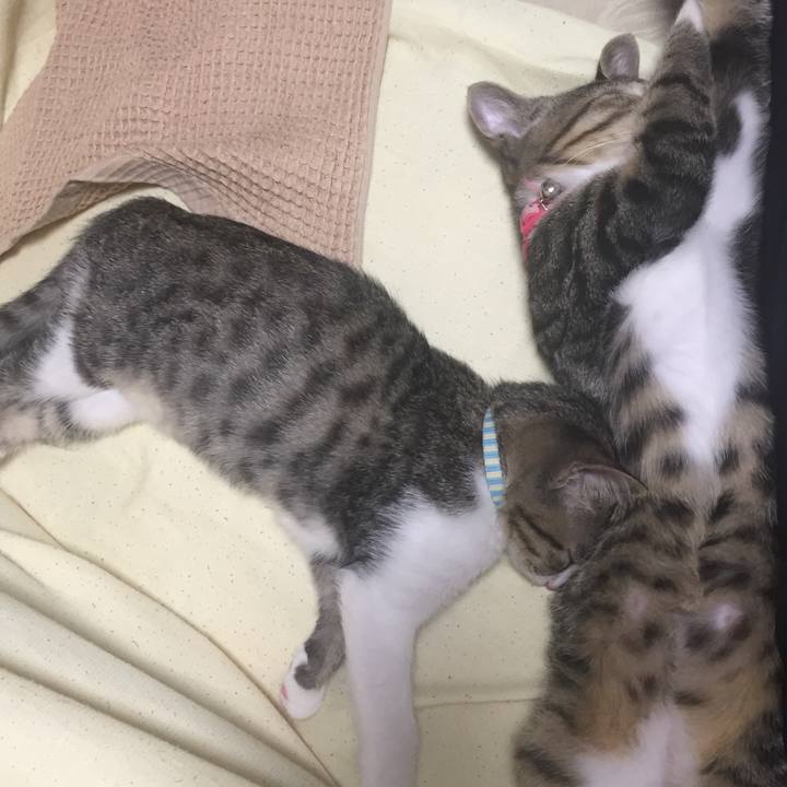 6225a28e 9854 41ac 95e8 faf298590d67 1657037624247