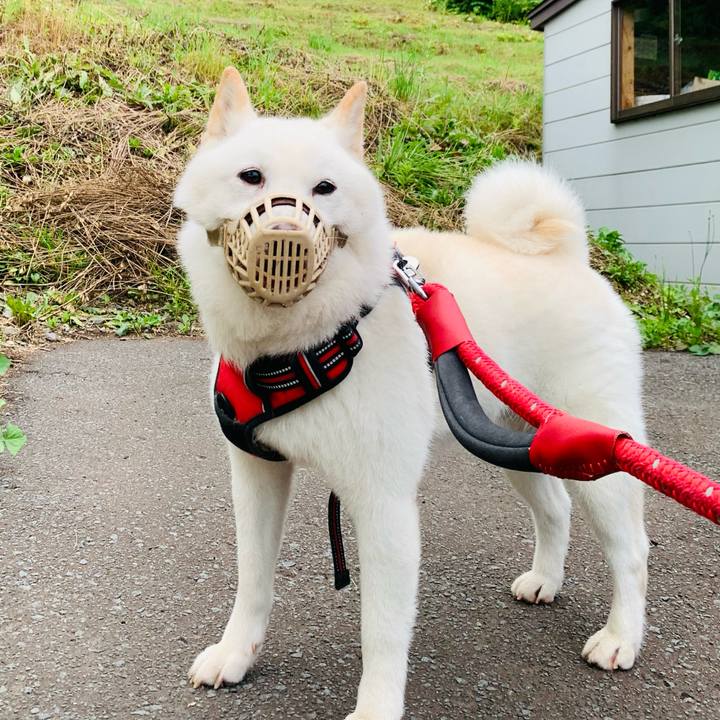 6225a71f 7c6c 4198 bfcf b7661041606c 1658349137326