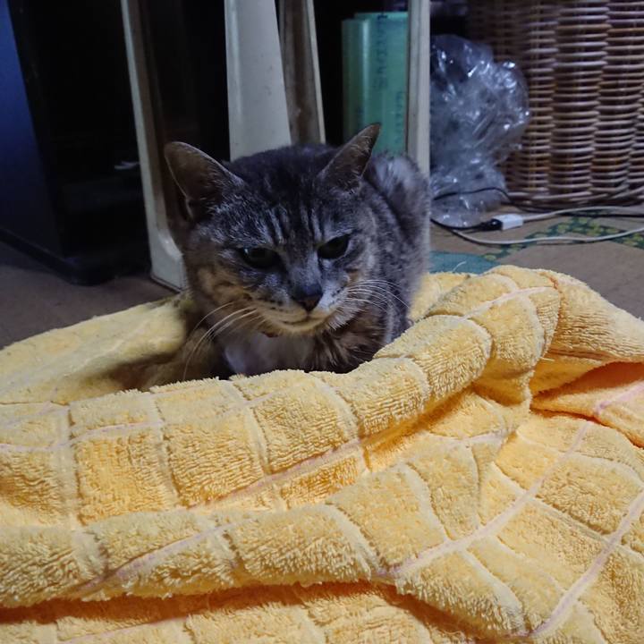 6225c50a ec12 4722 a976 4fd71f8e510e 1590222883084