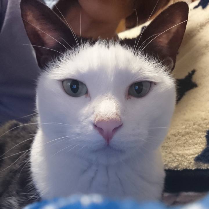 6225ef66 5ff2 45f8 b622 c3ebb95e8ad2 1566311392501