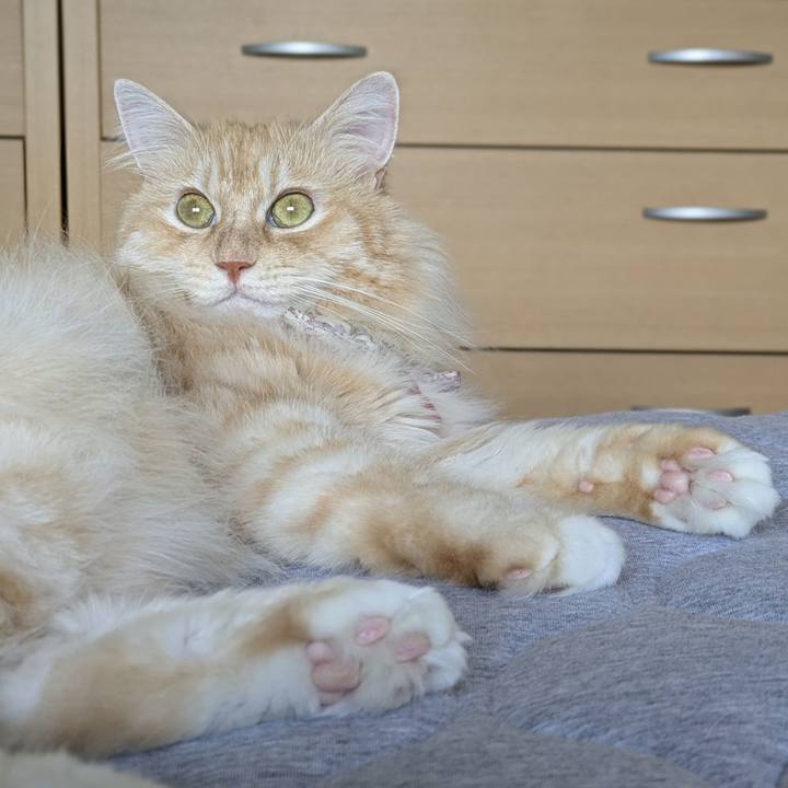 6225f87b b12f 46c4 8815 d73b01974680 1755492721239