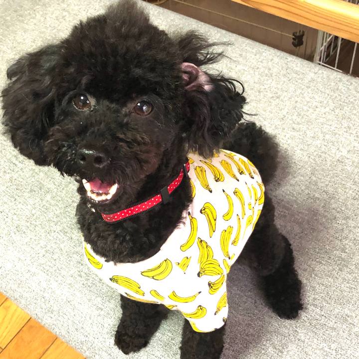 6226103d 6f73 4c06 83d3 74c78bca3ece 1589271254053