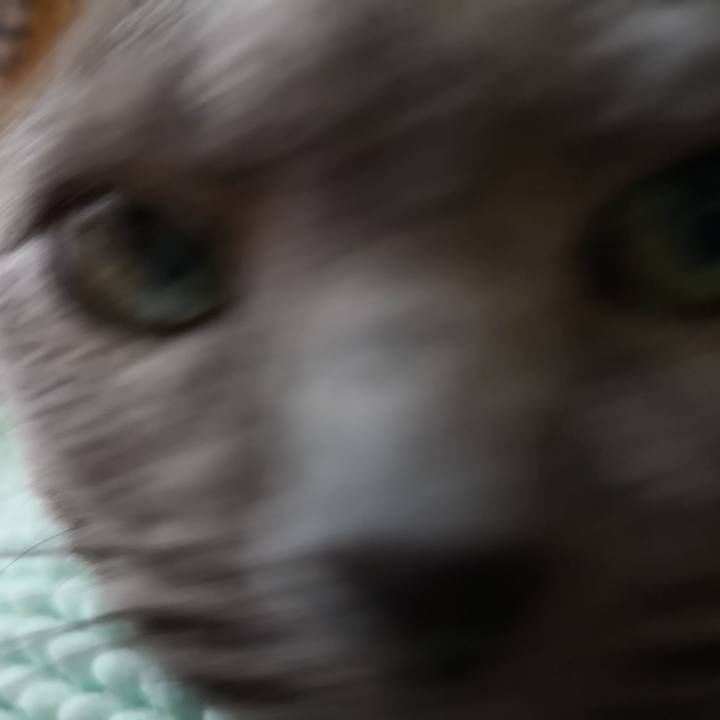 622610db e28f 4cdb 98d0 ff71a03798fb 1592729930684