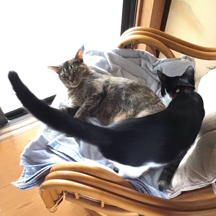 6226159b 57d7 4c49 9416 3689fcf6544b 1629881627393