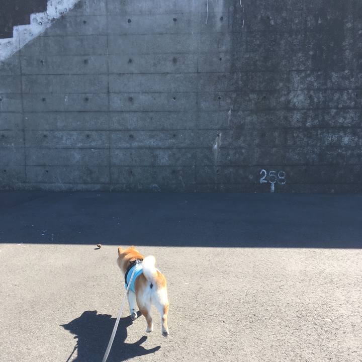 622620f1 2f42 4afd b91a 1fca73ca3cd2 1541123668579