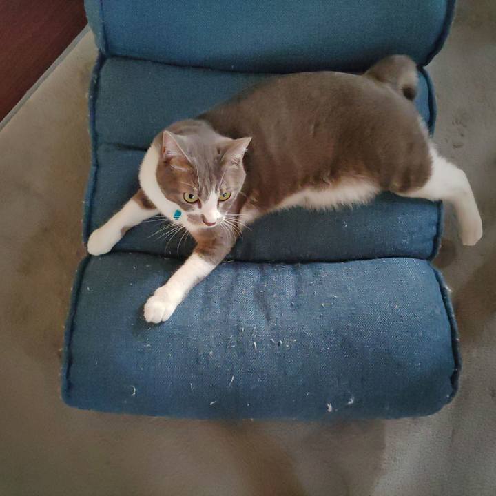 62267c85 702d 4b0f a596 e840fea25eb0 1663135232437