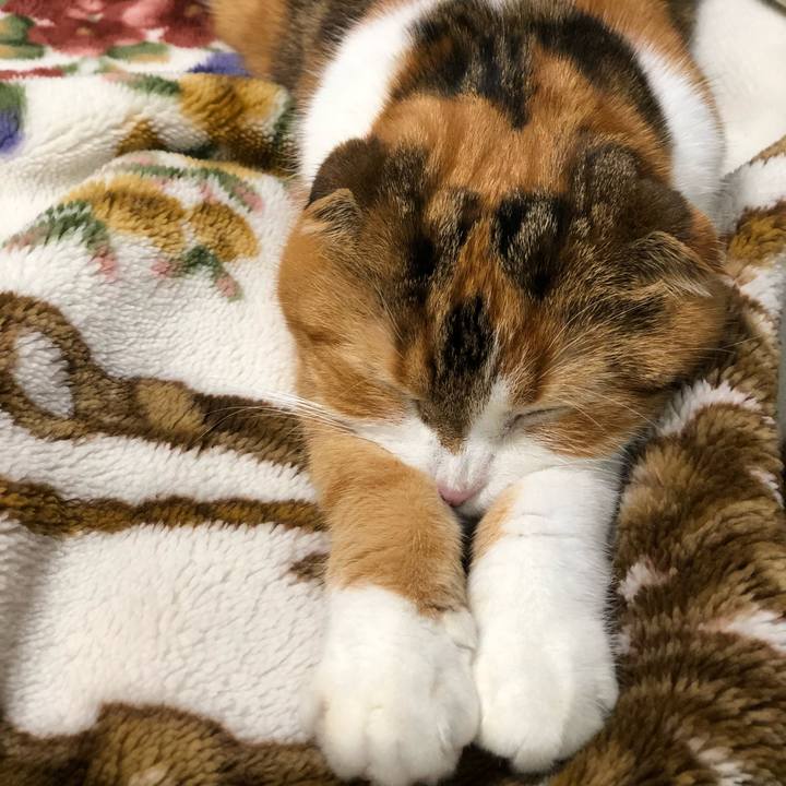 62269a44 46db 4bd0 8800 e9ce41857402 1541332449652