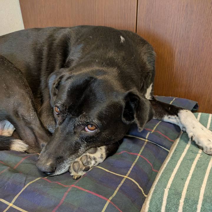 6226d517 578e 41d4 adc2 c194a254f802 1731977964750