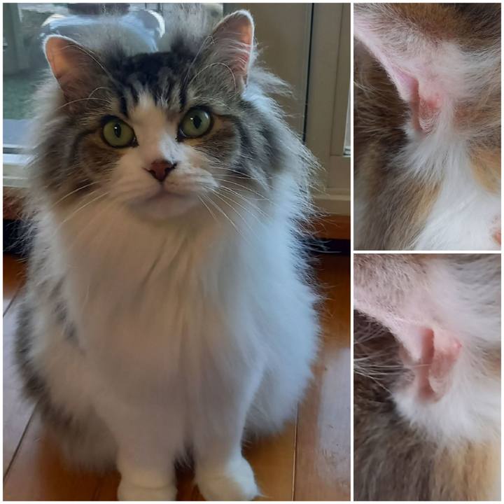 6226e602 9bc4 4e42 bc05 2a29fd0fd181 1654120911685