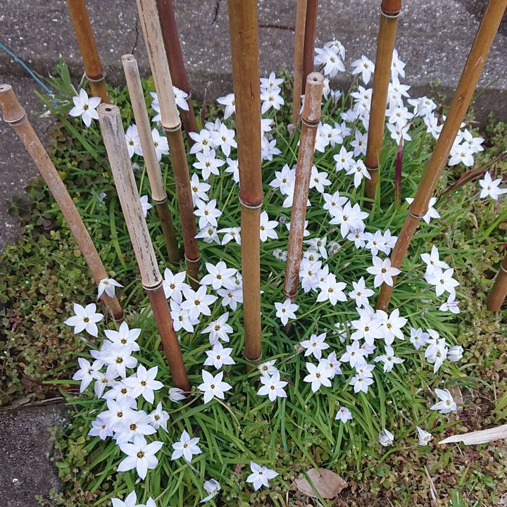 6226ef69 0927 4d20 bffd 932d6dc7e2c0 1588119602956