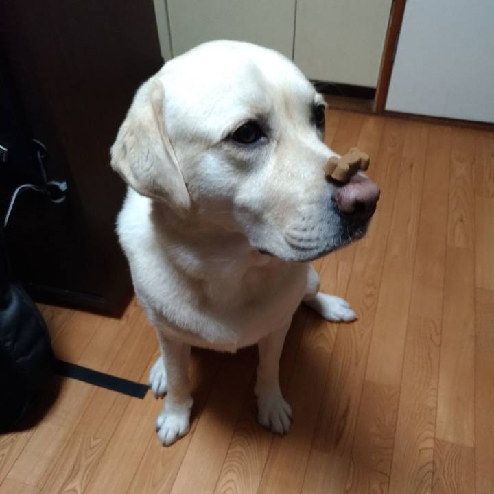 62272e0f b702 409d a0c7 2b15d556c2b3 1568821404643