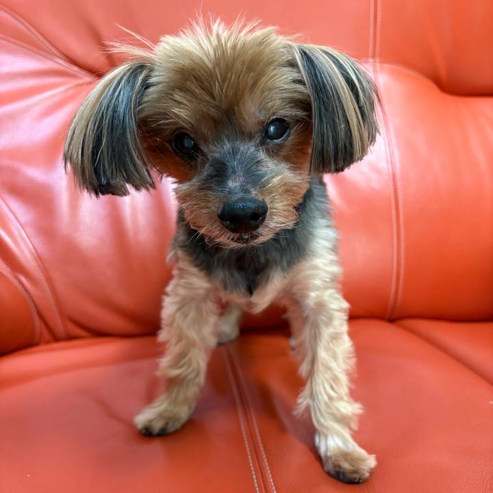 62274249 c926 40c1 bcc8 d918c6151ddd 1763594475129