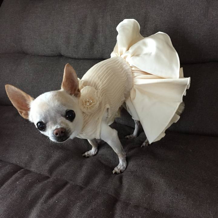 62277ff6 fb96 4f98 b621 057cd874f223 1774174872156