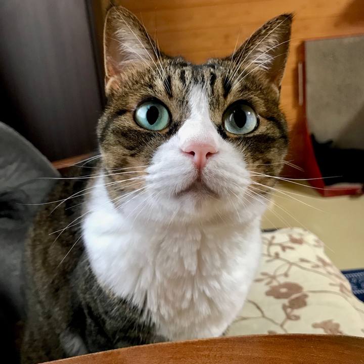 62278f5c 64ae 47f6 b995 5c541c97cf17 1533374642114