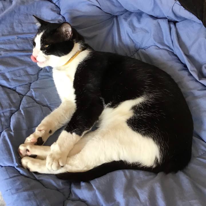 6227d22e b25e 495b a4d5 524e6d0f7925 1650358031338