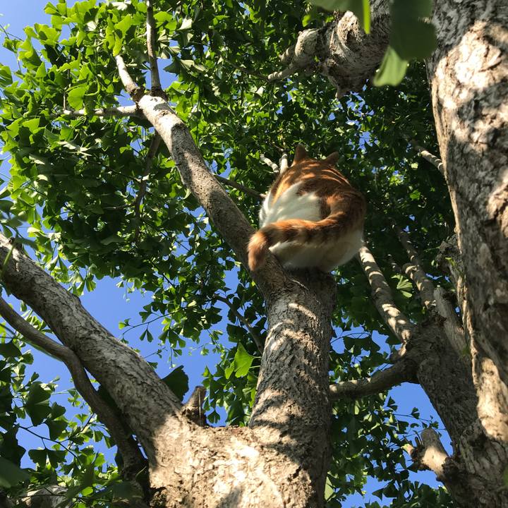 6227db8e 2acc 4882 a60b 327c6a6a9bc9 1527840486986