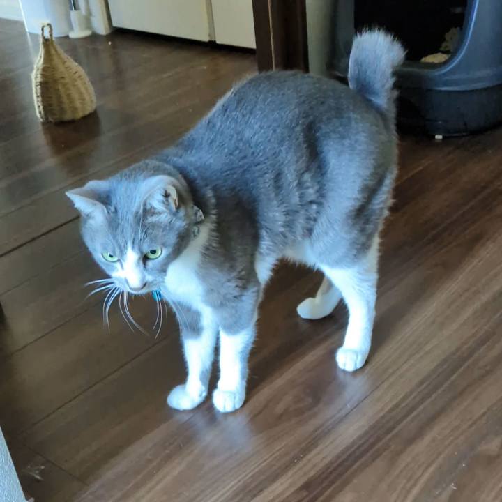 622800c7 5f63 43e6 be04 9f1d354b3b49 1760669198664