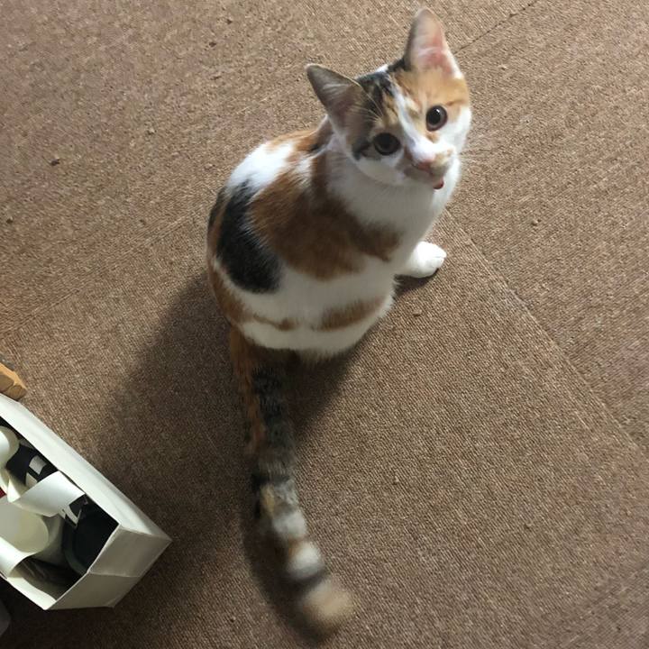 6228114d ad80 459c 8697 390206dbec42 1573428090618