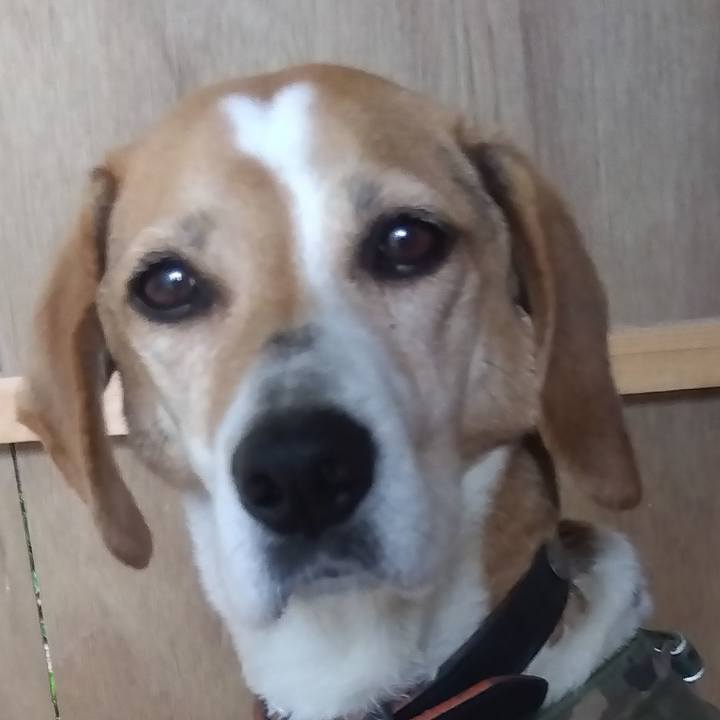 62281b15 fd54 4941 a149 3eab60733c5b 1686031141154