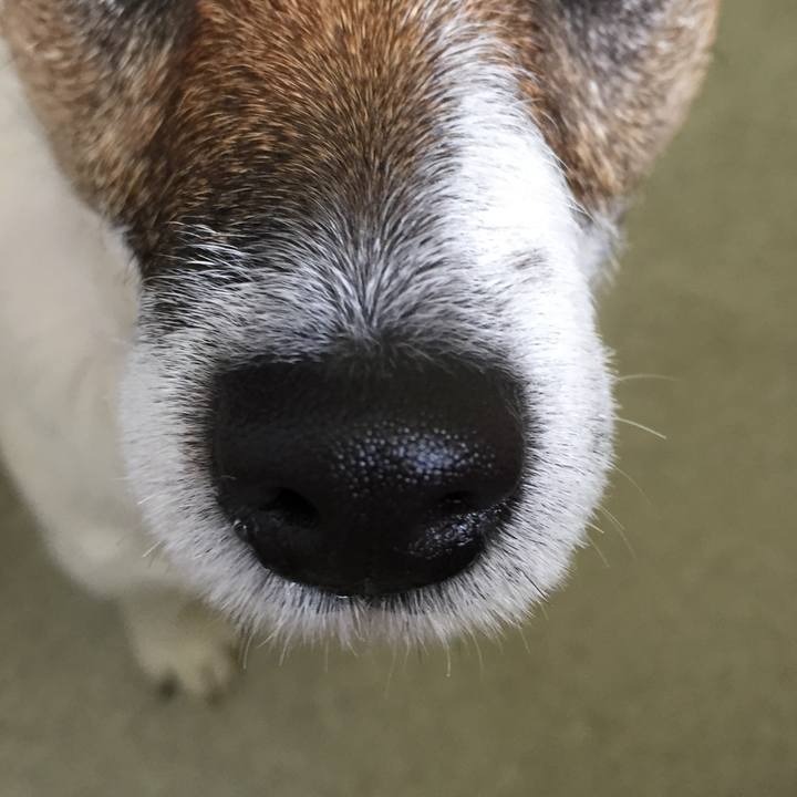 62282e0d 5073 47d5 aa5e a3794e8a44be 1523760873446