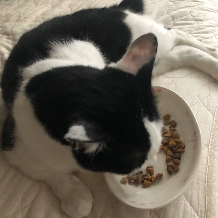 622847cc 5aaf 4106 bd9d 4f09efa39314 1564260460769