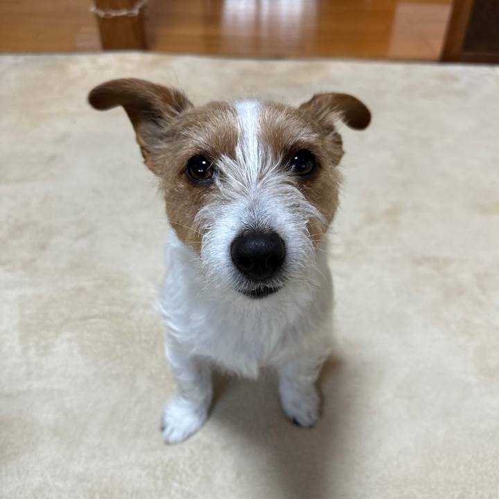 622866f5 ed21 4b92 a42d 20adb64e9d14 1773783614347