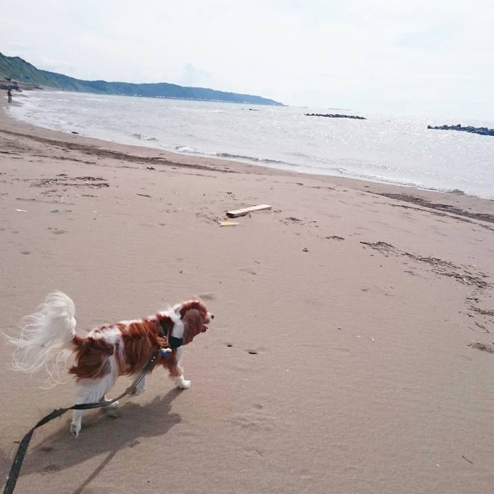 62286ee1 c791 4c1f 8323 a75a20d42d2f 1535868123366