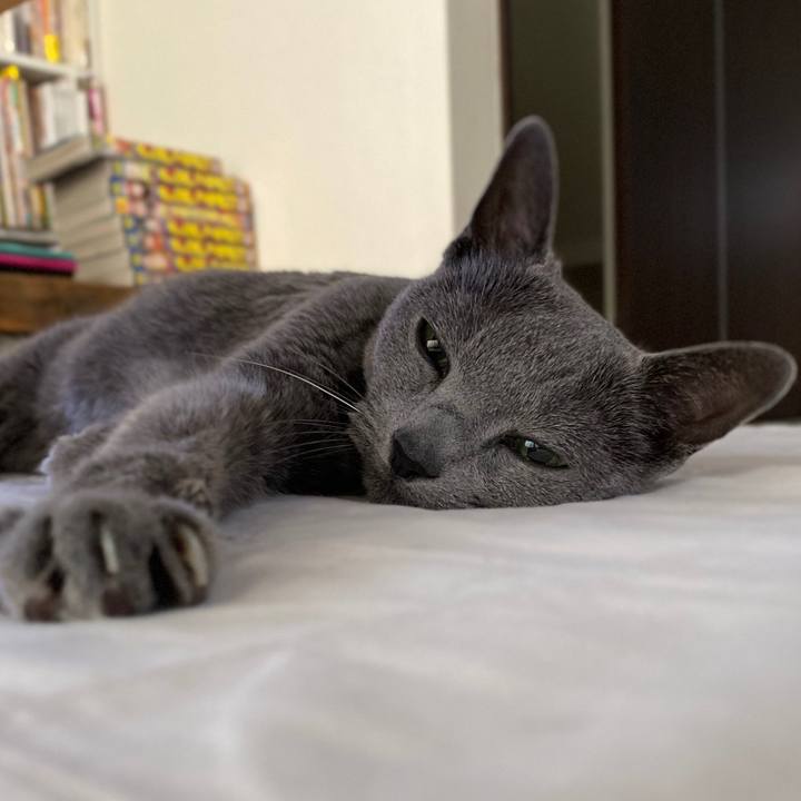 62288f95 e751 4525 b062 3b35d0a688d9 1588247192734