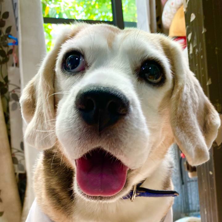 6228aeca 1ef5 49a7 8c4c 6fccd05207f3 1624946755510