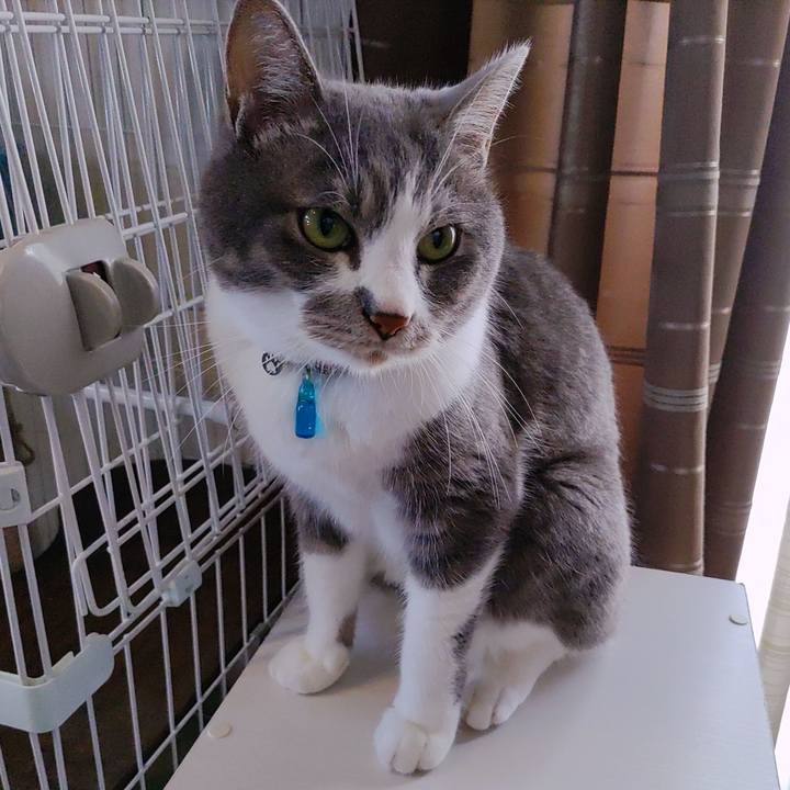 6228bf73 b539 4a17 9ce1 00f66b3639b8 1720330137804