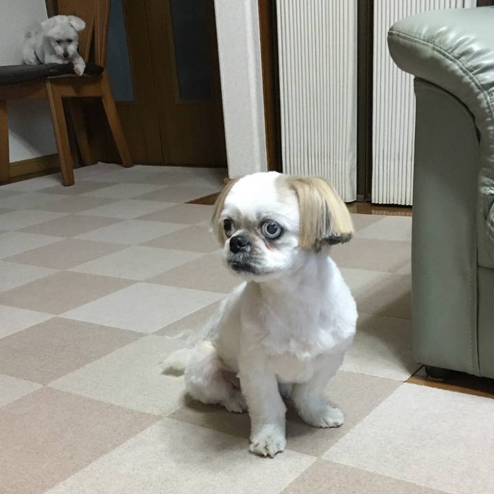 6228bfe4 8f68 4b2c b8ae 208c8f013f92 1564220473925