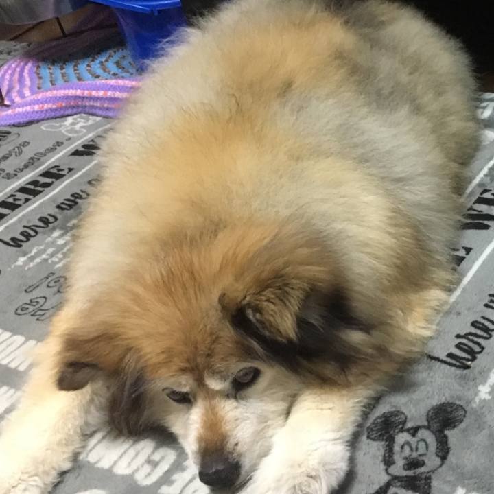 6228ded1 9975 4950 85bd 466044ba8ee9 1556285201869