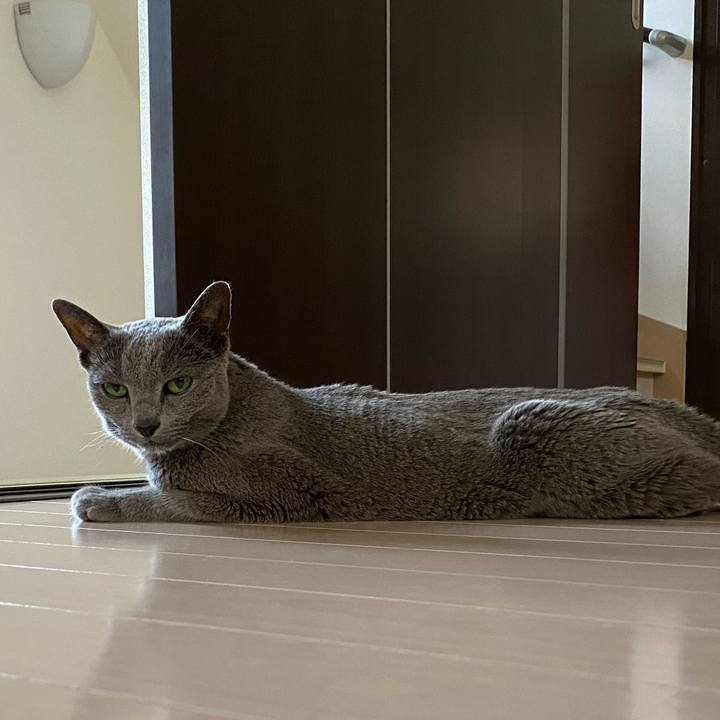 6228df2c 3cdb 4954 bb76 1d6d6dcc6857 1597793297993