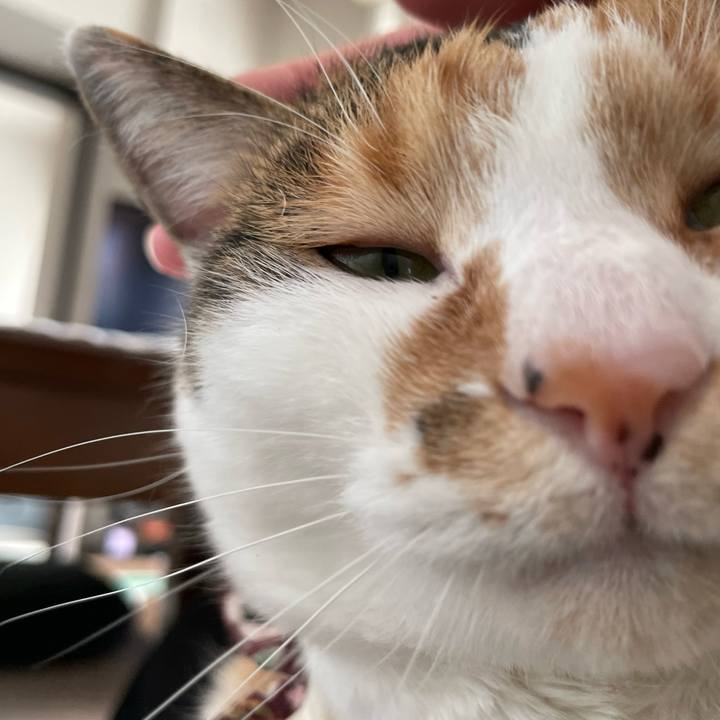 62291463 243f 44d4 b1d6 278326d3fd5a 1740376307595