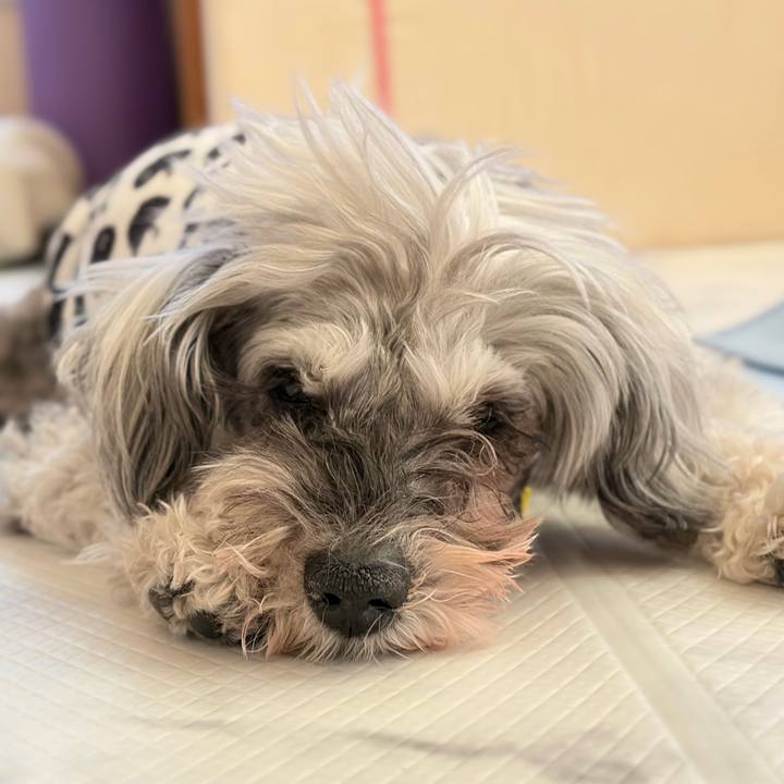 62291951 4ada 4fa0 92bc 50582bf52f3f 1771747111163