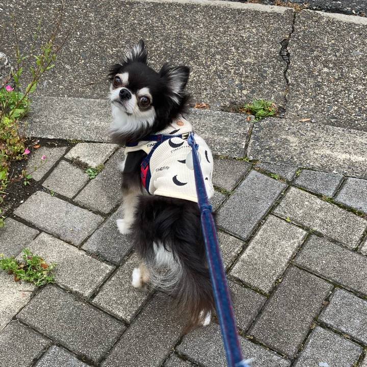 62294f4c 30f5 4e9e 9422 cac13da86918 1717343471175