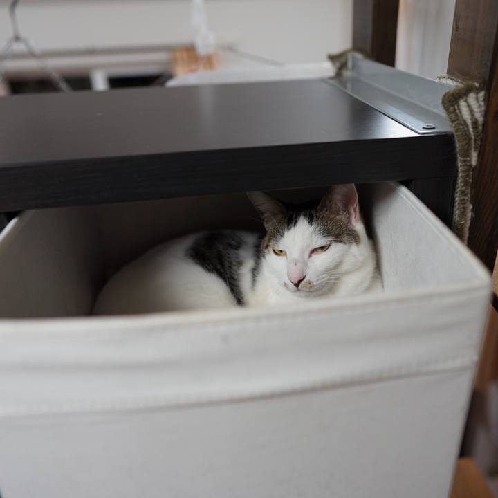 62296155 c517 464f b562 9ce63cafb047 1546783113382