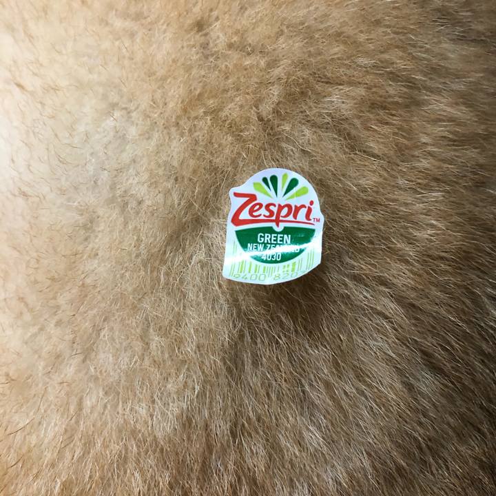 62298be6 30c8 48bb a852 bf6f94870121 1594562004036