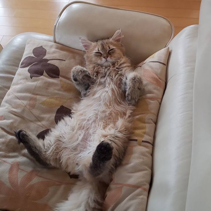 6229ccc1 61a4 4841 8926 0545866642e2 1560838075926