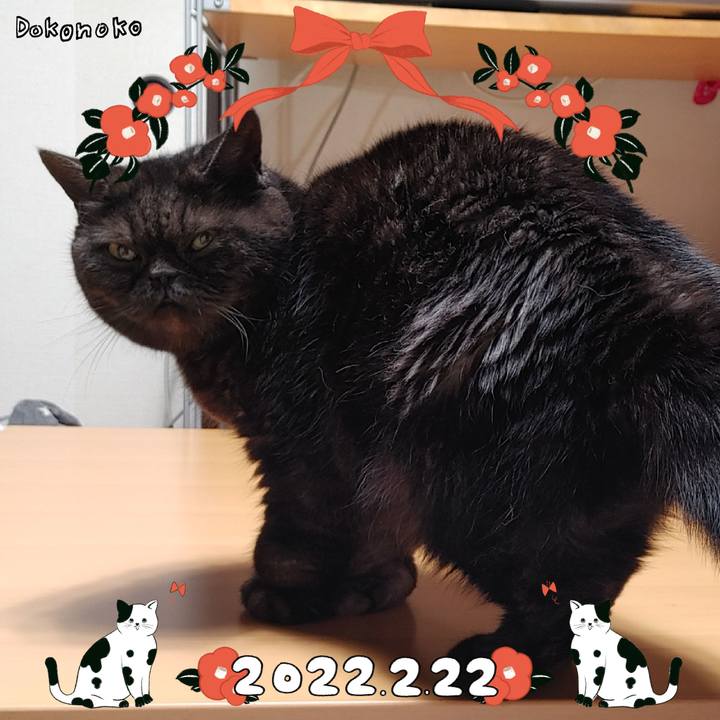 6229e2d1 fdac 4e52 a2d8 9b2f61560cb2 1645541503344