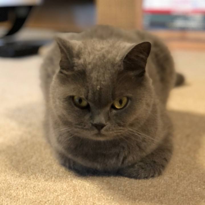 622a21c0 4907 4801 b08a fcd38b73afb0 1594786326599