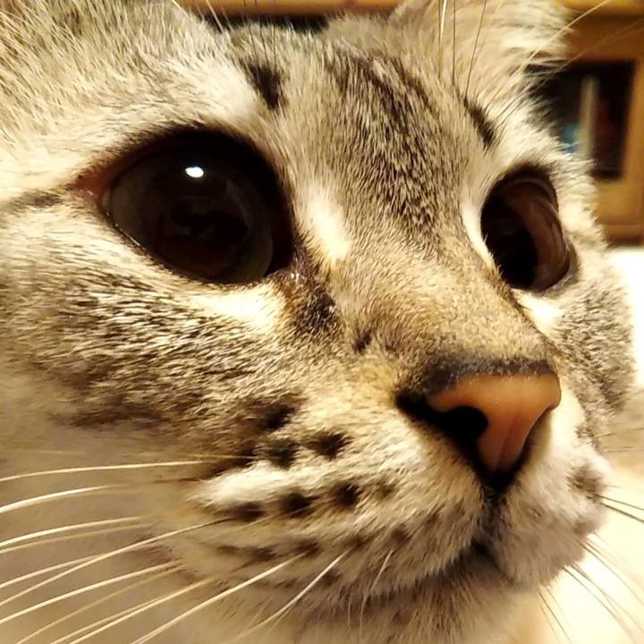 622a228a fd7e 4fa6 8be8 152f473d5fa2 1606834581986