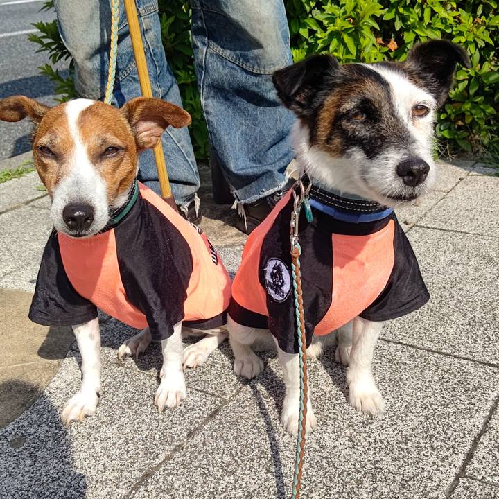 622a46e2 94d7 41ff aa80 1911f1bf3e30 1718147676152