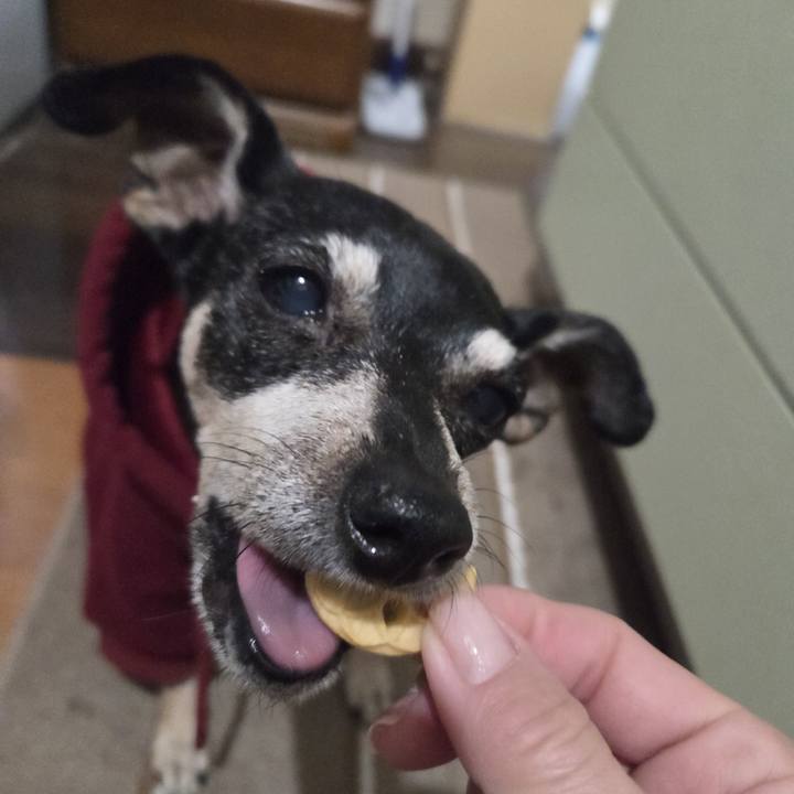 622a7543 e579 4986 8bd6 dd6947fa59b6 1773172175431