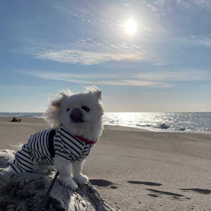 622abb2b c8a7 4332 8ae0 8b75a8c4e6f1 1705738802592