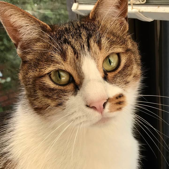 622ad11b 857e 4090 8c3c be79deef2e64 1516853491554