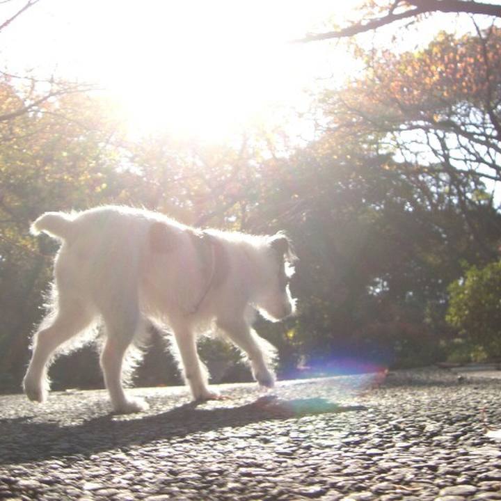 622af5d6 3c32 4ad5 a330 3c477f5299b9 1512466440566