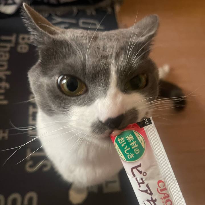 622af617 c257 48a8 ae73 a67b5e4b3375 1701414751495